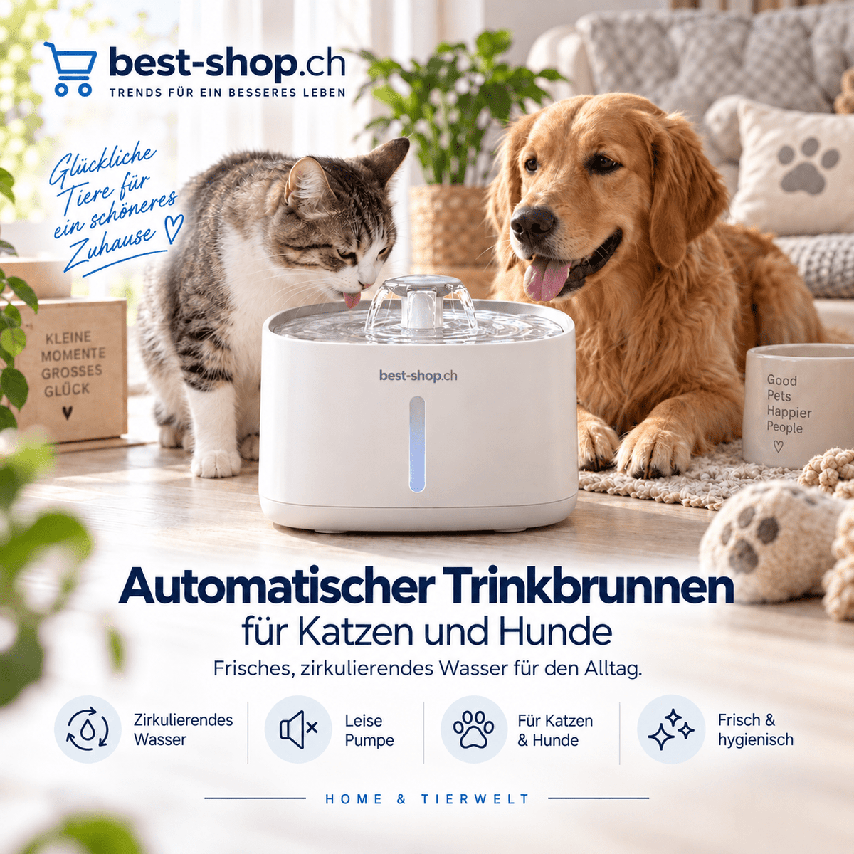 Automatischer Trinkbrunnen für Katzen und Hunde - best-shop